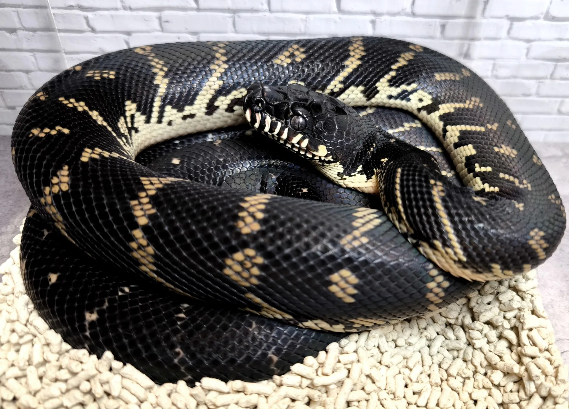 幅広いニーズに応える柔軟な対応力