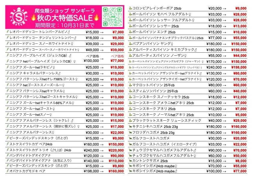 🔥秋の大特価セール🔥