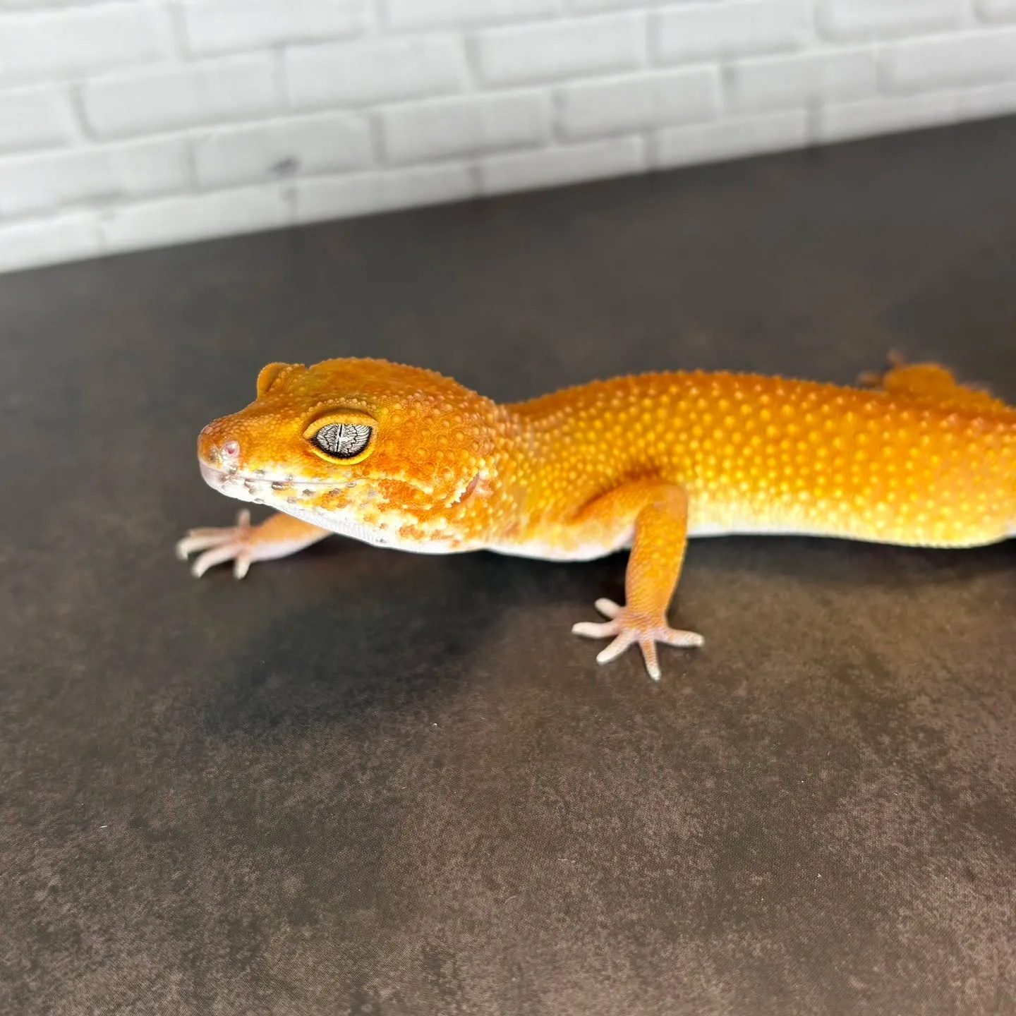 ホームページ更新しました🔥