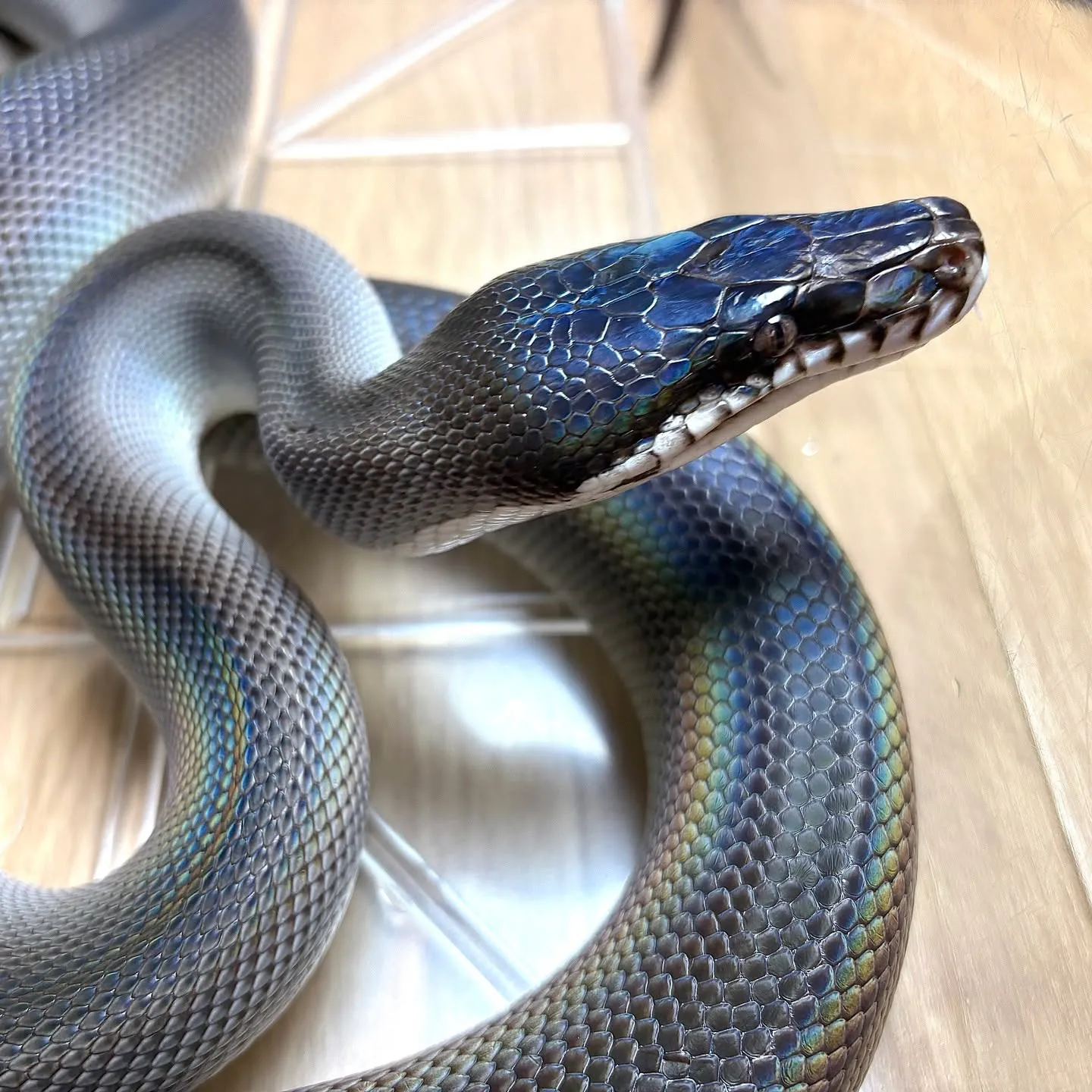 ホームページ更新しました🔥