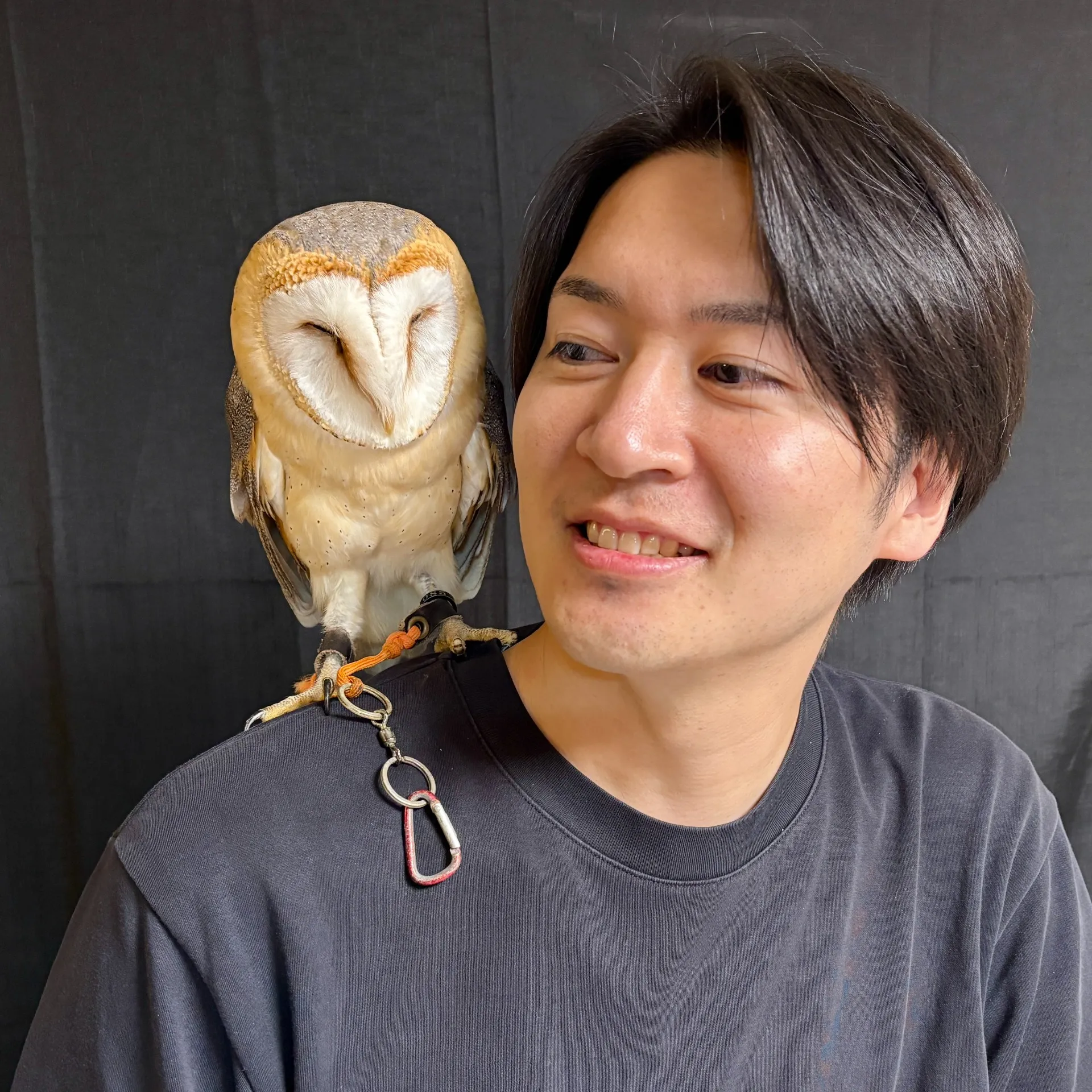 メンフクロウ（ベタ慣れの極み）