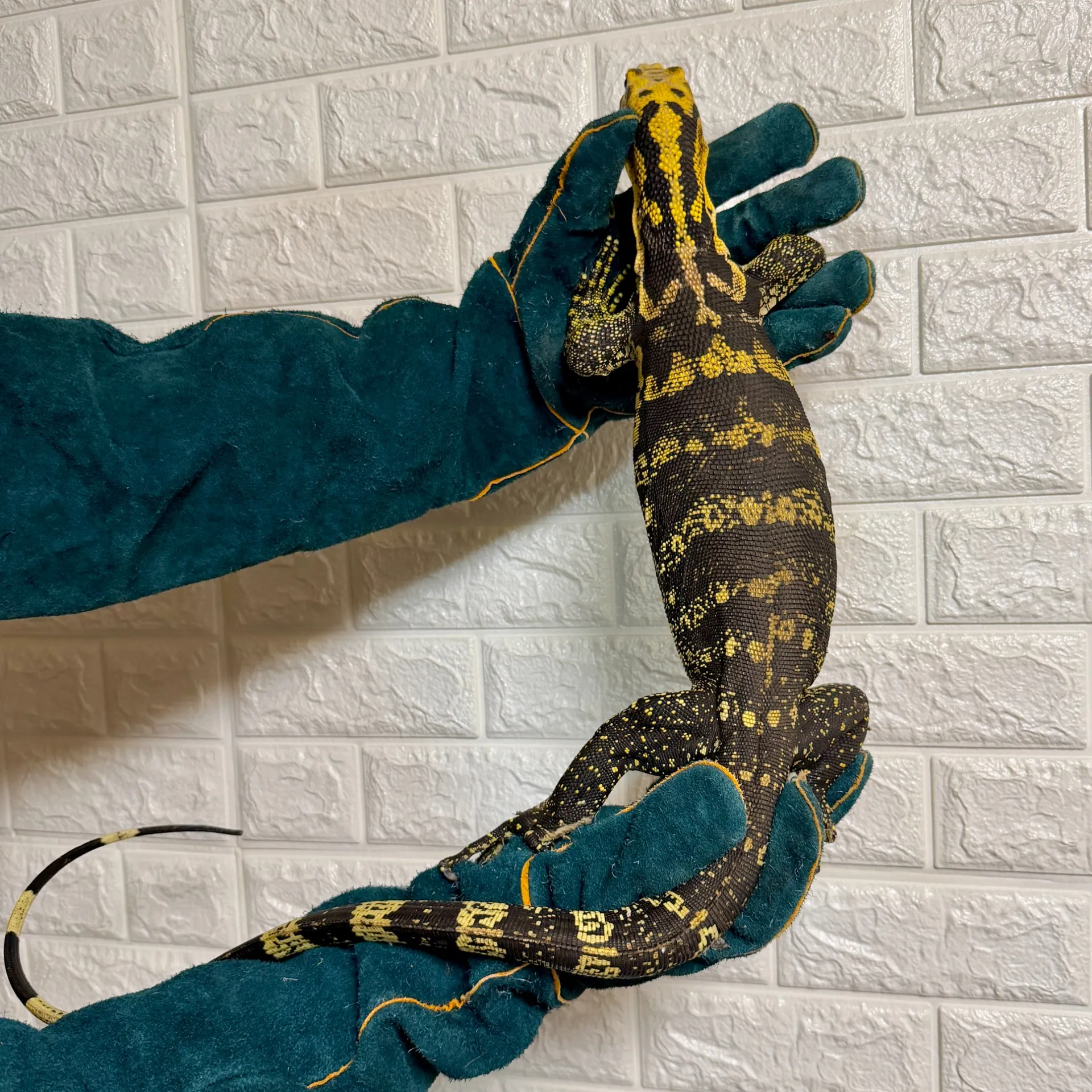 カミンギーモニター